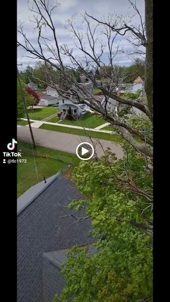 Master Tree Removal L.l.c.