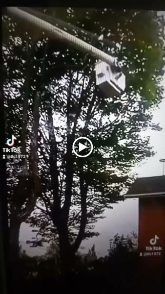 Master Tree Removal L.l.c.