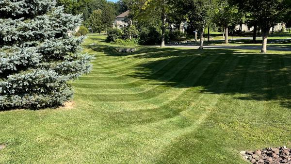 DVC Landscaping LLC