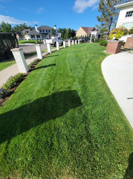 Saratoga Mowing