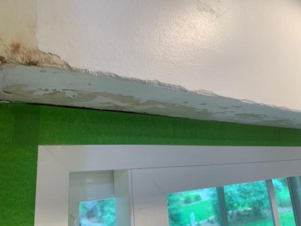 Bespoke Painting Services