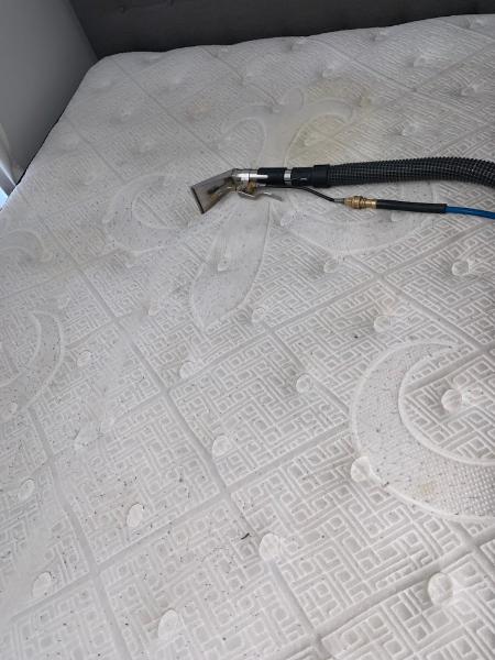 Queens Carpets Cleaning