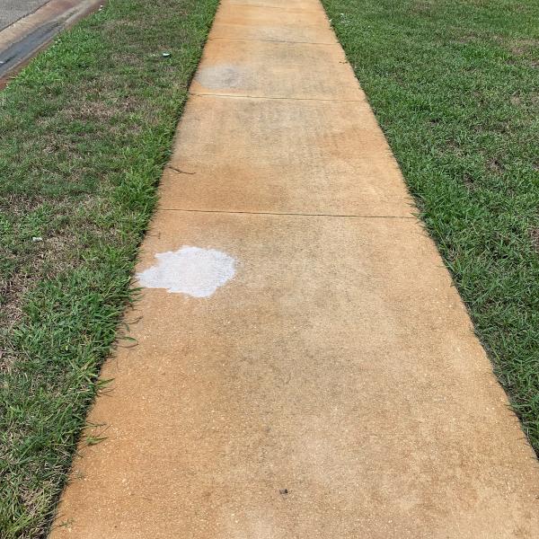 Vanish! Exterior Stain Removal Experts