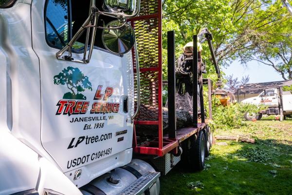 L P Tree Service Inc