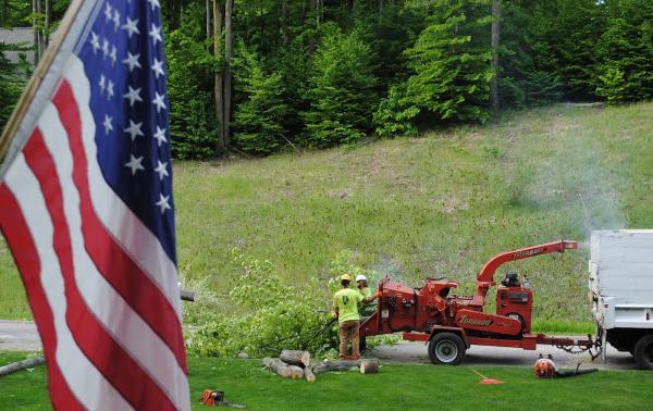 Brothers Tree Service