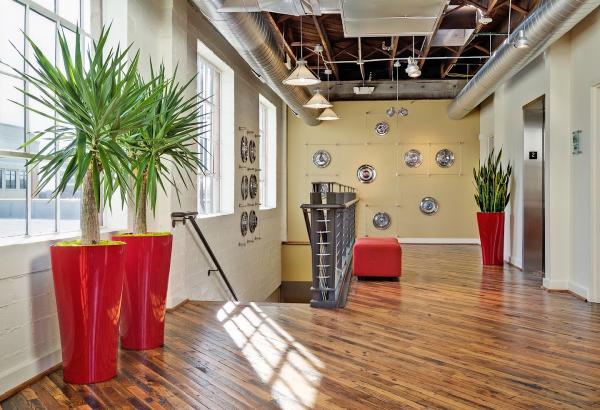 Interior Design Group Inc.