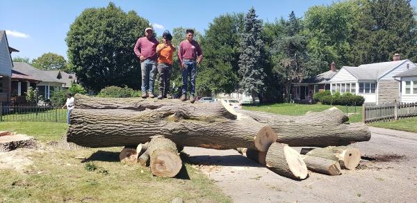 We Care Tree Service