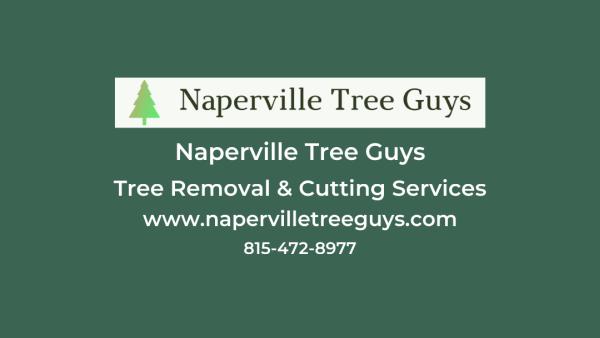 Naperville Tree Guys