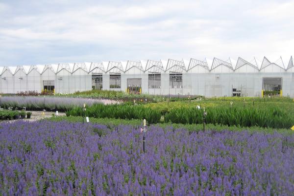 Natorp's Nursery Outlet & Landscaping