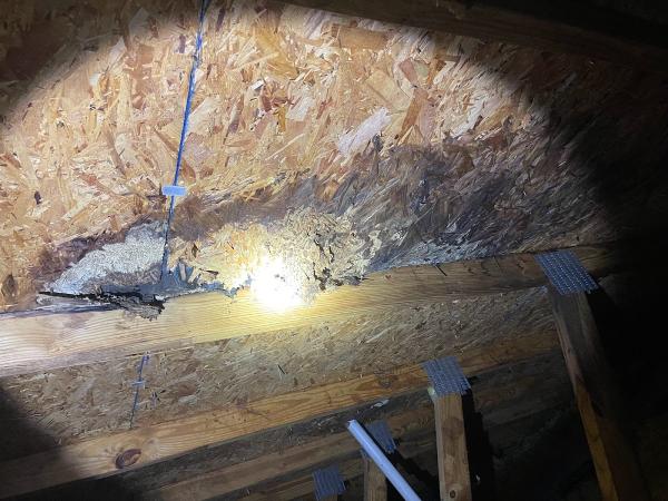Virginia State Home Inspections