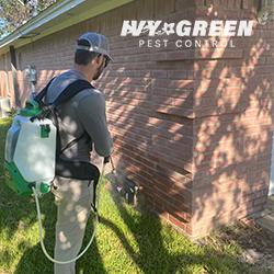 Ivy Green Pest Control