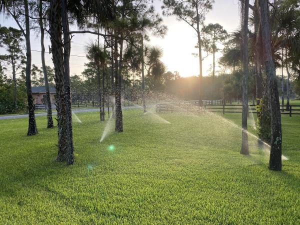 West Boca Irrigation
