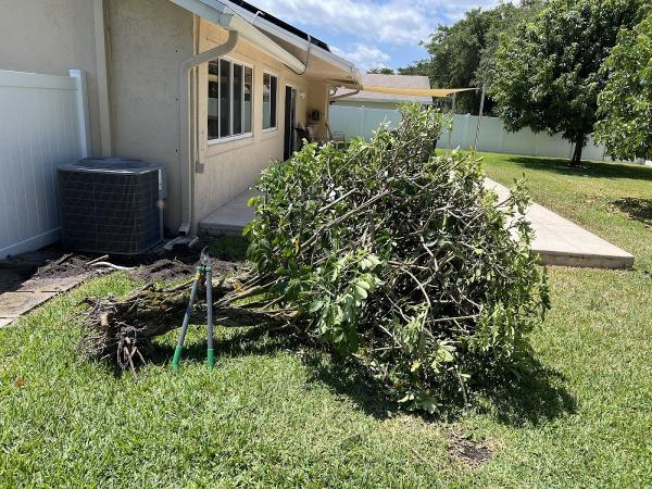 West Boca Irrigation