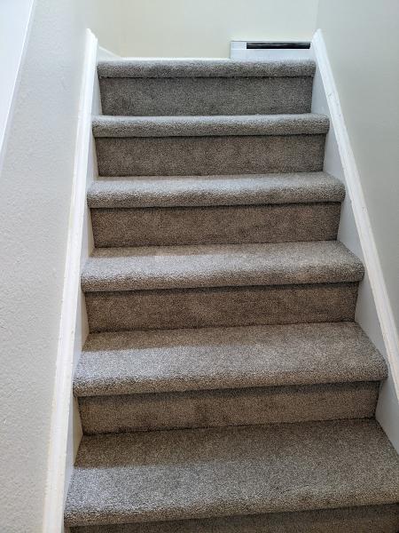Carpet Excellence