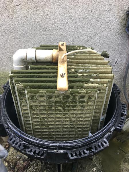 PAR Pool Service