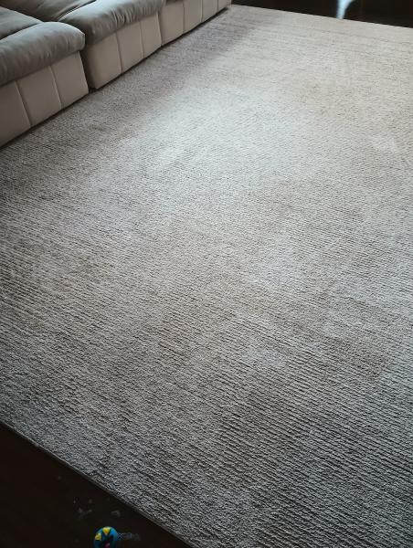 Eco Friendly Carpet Cleaning & Upholstery in Columbus