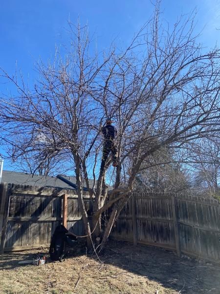 Arbor Wise LLC
