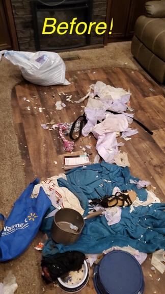 Gentle Ladies Cleaning and Packing Service LLC