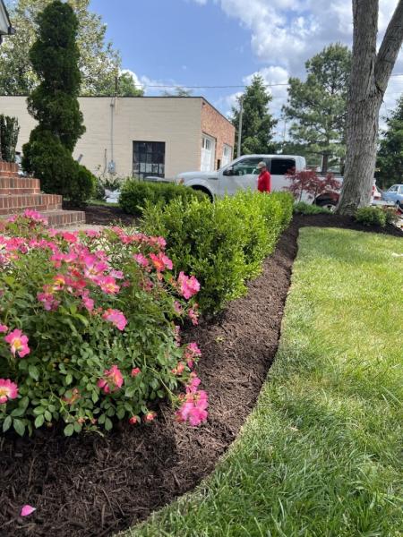 Potomac Lawn Professionals