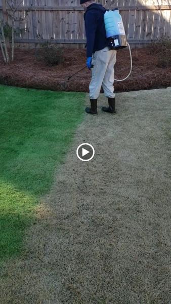Agropro Lawn Care