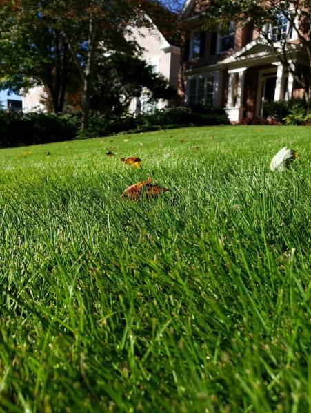 Agropro Lawn Care