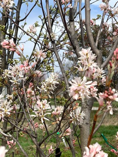 Galbraith's Landscaping & Lawn Care