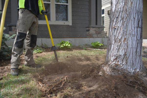 Arbortec Tree Service