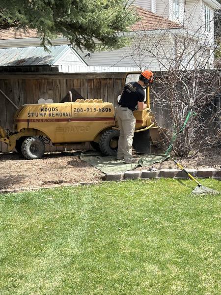 Woods Stump Removal
