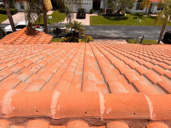Oliviero Pressure Cleaning