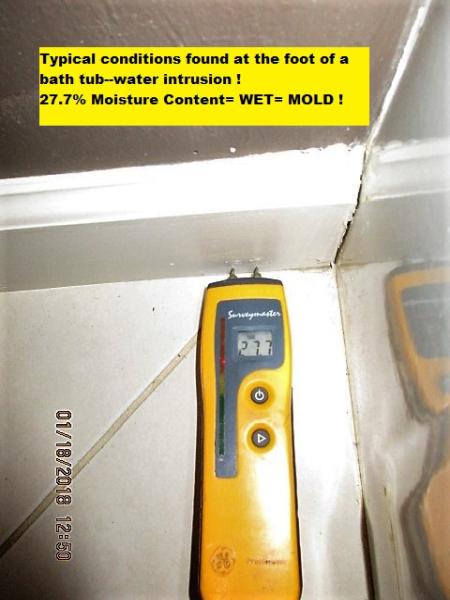 Accredited Building Consultants