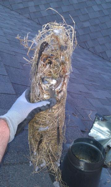 Superior Dryer Vent Cleaning