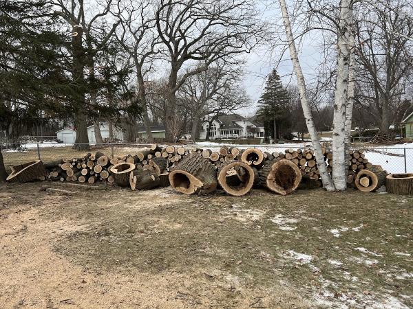 AWS Tree Service