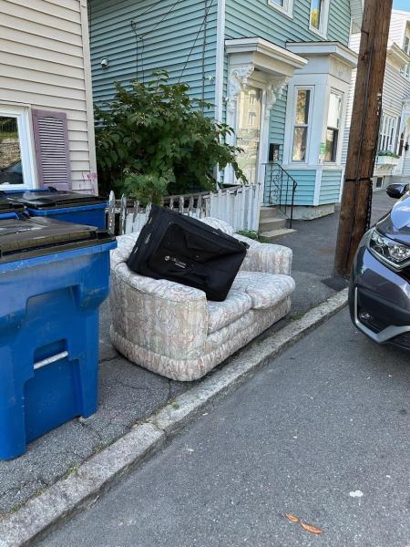D'Reyna Handyman and Trash Removal