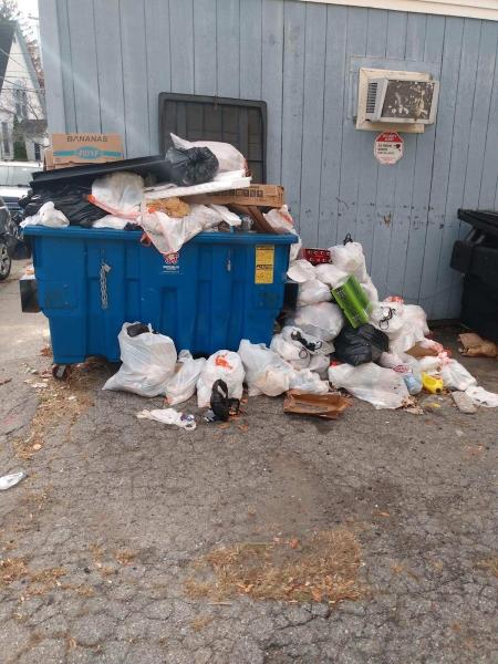 D'Reyna Handyman and Trash Removal