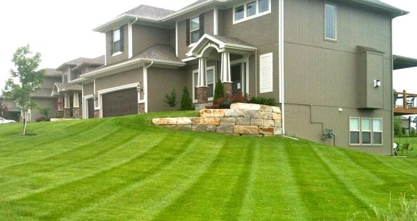 The Lawn Barber