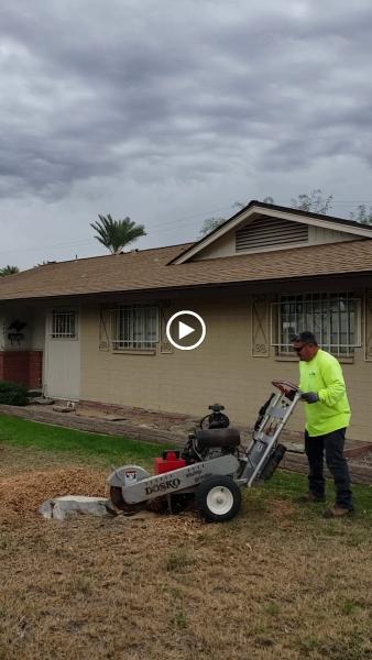 Diaz Tree and Landscape Management