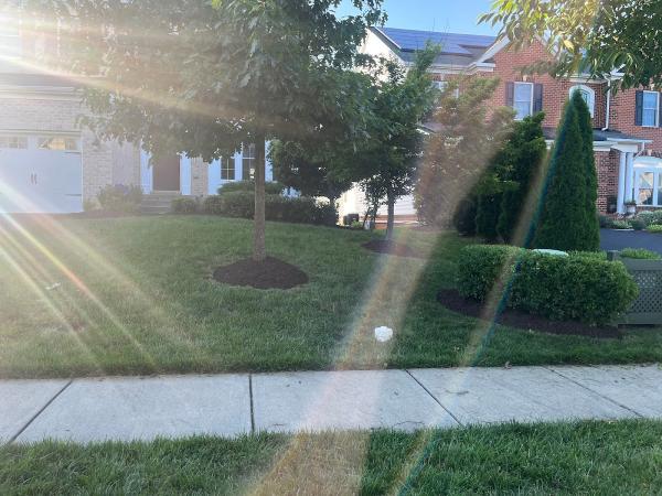 Pro Lawn Cuts LLC