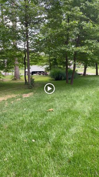 American Paving LLC