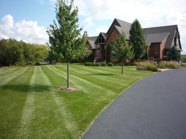 Choice Landscaping LLC