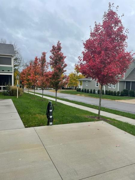 Opportunity Landscapes and Nursery LLC
