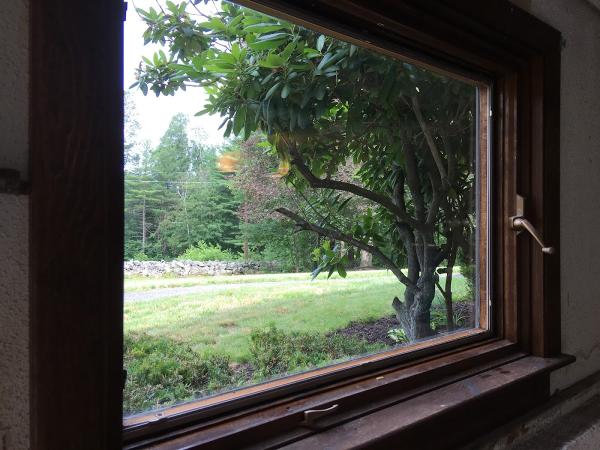 Tru-Clear Window Cleaning