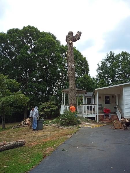 J & D Tree Care