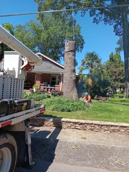 J & D Tree Care