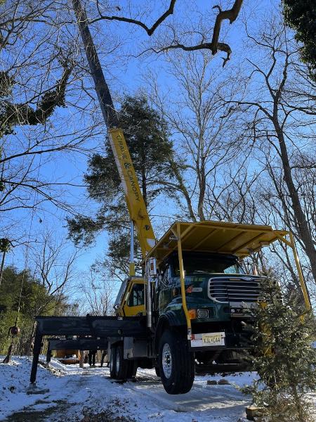 Bridgewater Tree Service