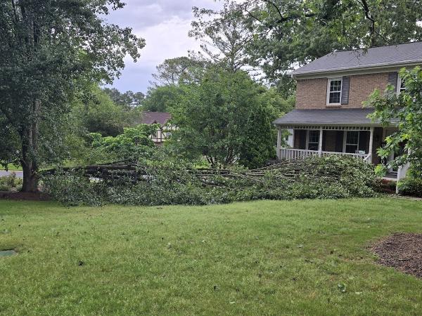 Bent River Tree Care