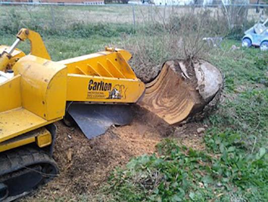 Beaver's Stump Grinding Svc