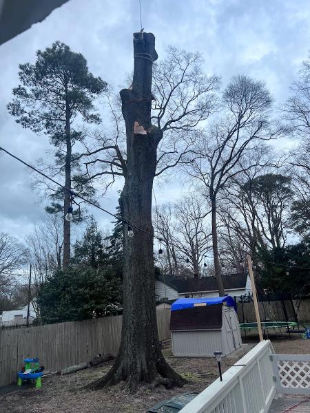 Beaver's Stump Grinding Svc