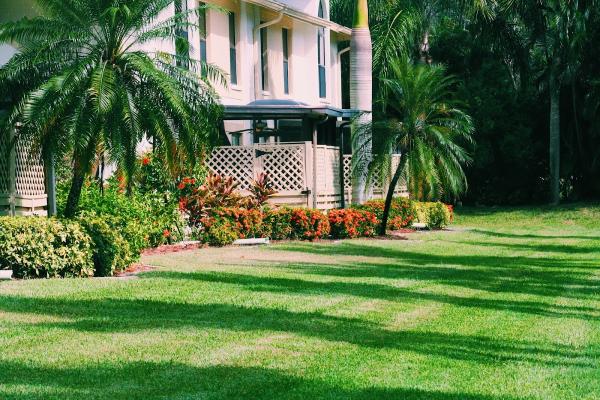 Green Leaf Lawn Services