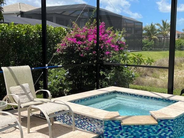 Celebrity Pool and Spa