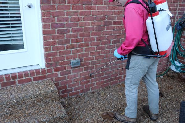 Brentwood Pest Control